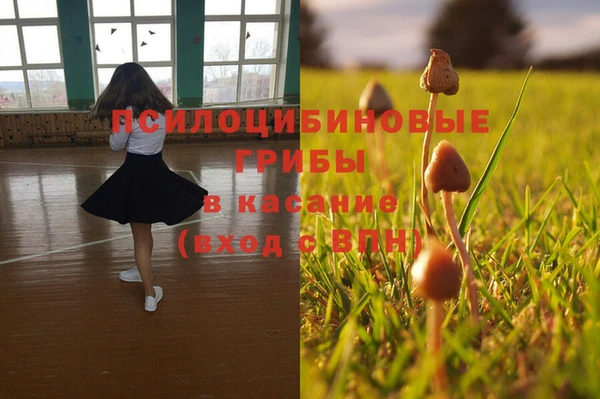 ГАЛЛЮЦИНОГЕННЫЕ ГРИБЫ Инсар